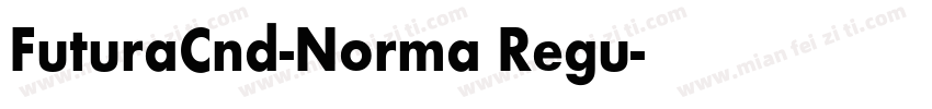 FuturaCnd-Norma Regu字体转换